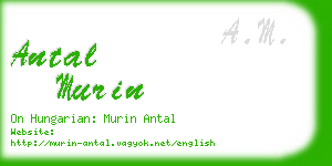 antal murin business card